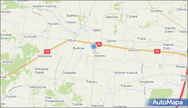 mapa Woźniki, Woźniki gmina Wola Krzysztoporska na mapie Targeo